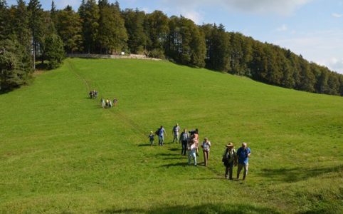 Zunächst aber noch zur zweiten Station auf dem Chellenchöpfli