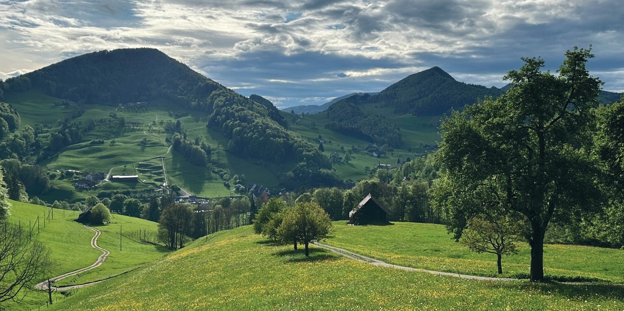 Kirche Langenbruck
