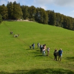 Zunächst aber noch zur zweiten Station auf dem Chellenchöpfli